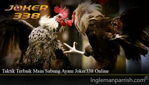 Taktik Terbaik Main Sabung Ayam Joker338 Online